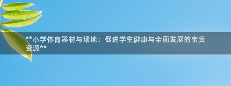 尊龙凯时老板：**小学体育器材与场地：促进学生健康与