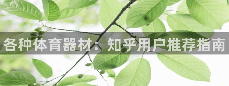 尊龙凯时有假么：各种体育器材：知乎用户推荐指南