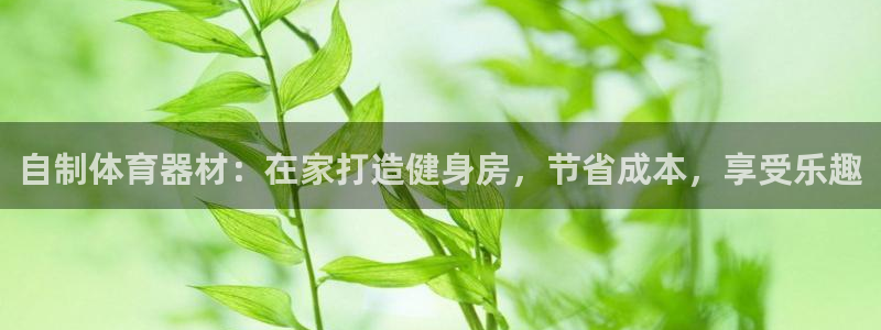 尊龙,人生就是博!登录国际：自制体育器材：在家打造健