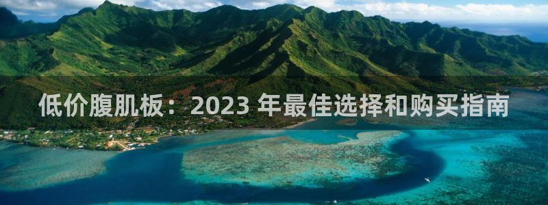 尊龙百度百科：低价腹肌板：2023 年最佳选择和购买